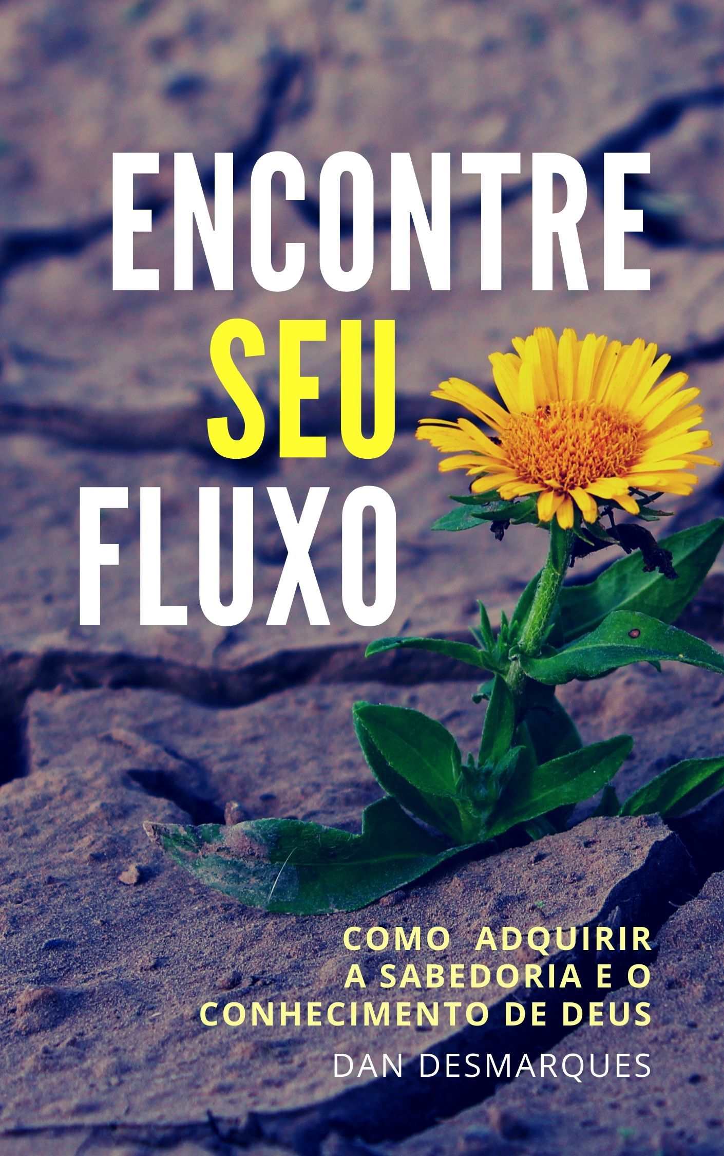 Find Your Flow Portuguese