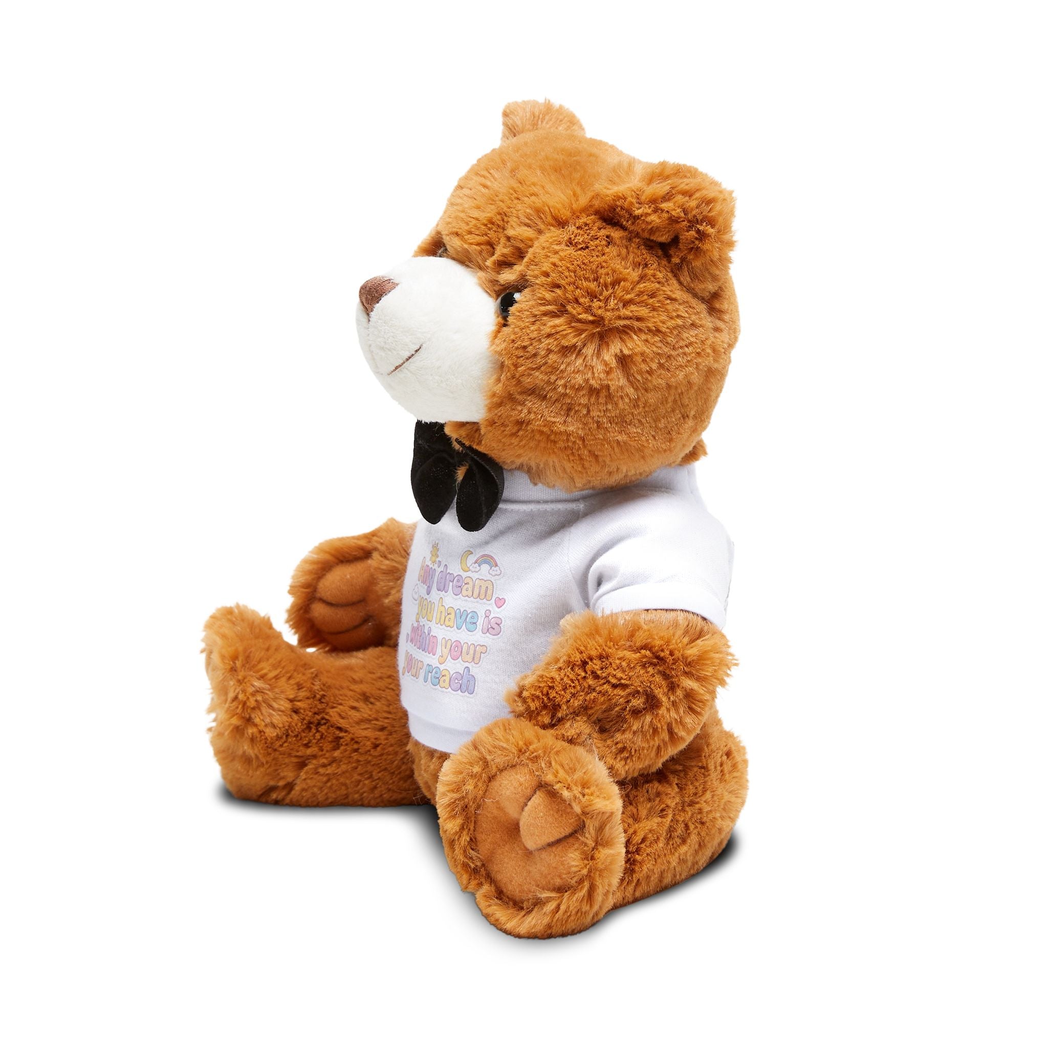 Any Dream Teddy Bear