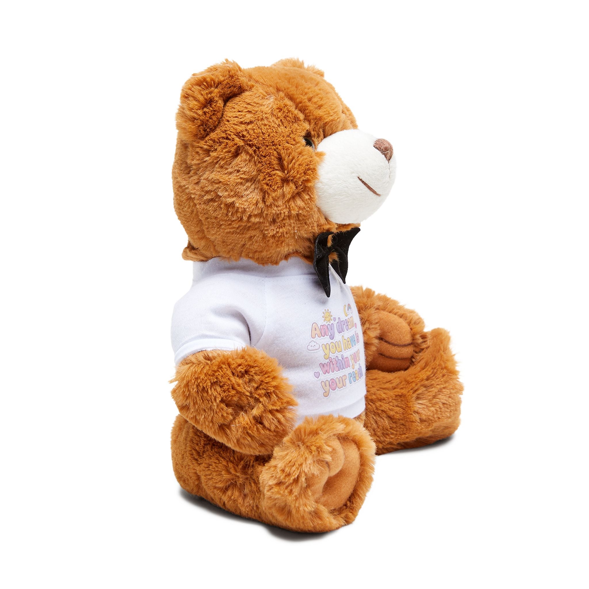 Any Dream Teddy Bear