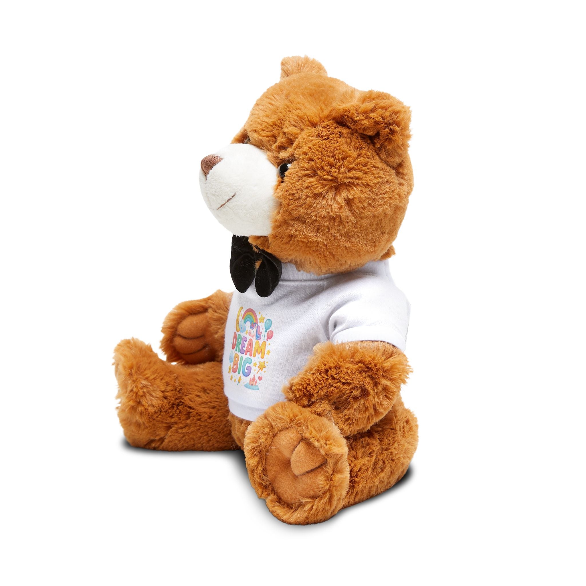 Dream Big Teddy Bear