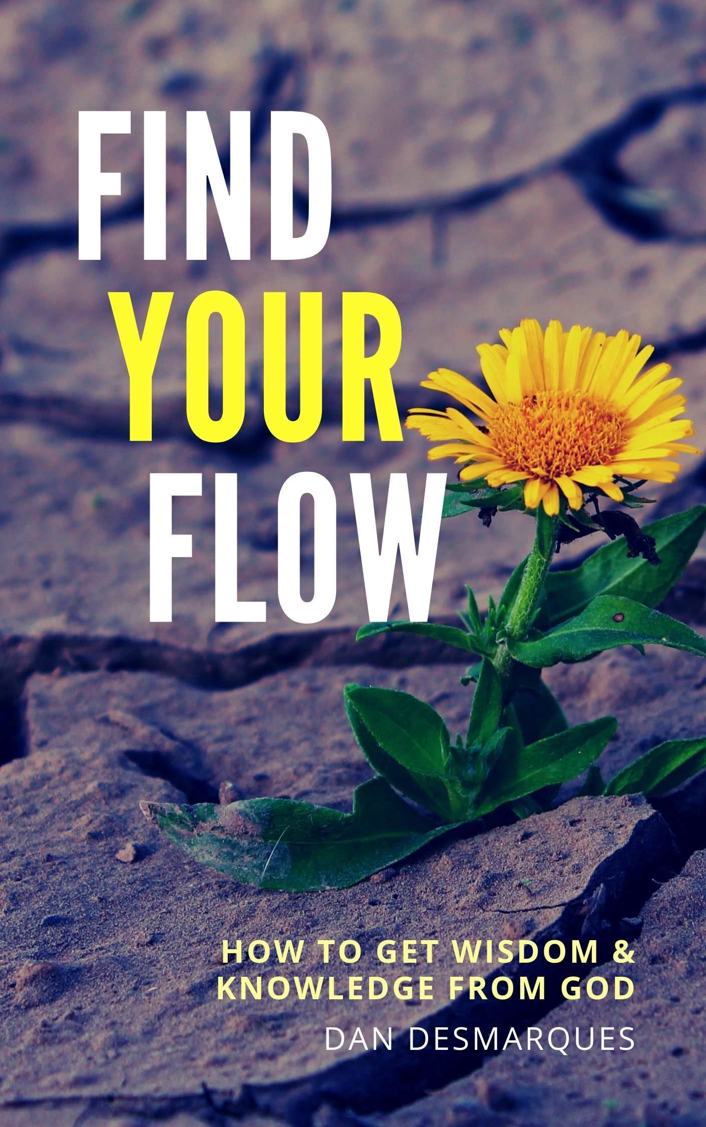 Find Your Flow English