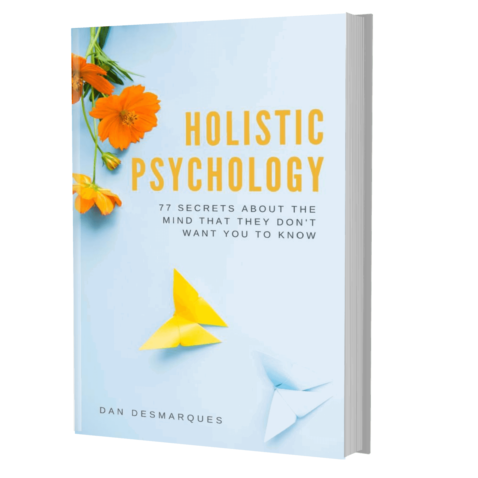 Holistic Psychology