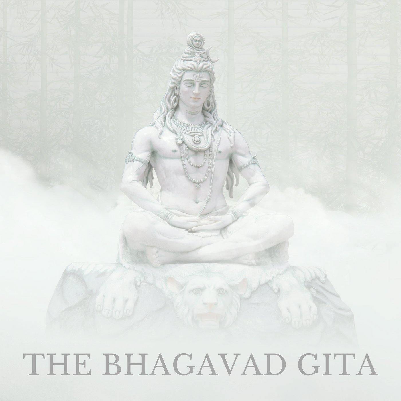 The Bhagavad Gita (Audiobook) - 22 Lions