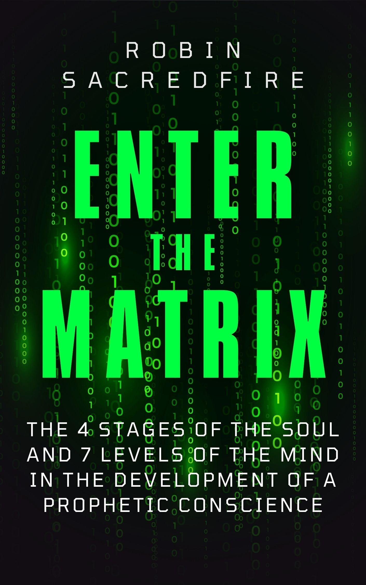 Enter the Matrix - 22 Lions
